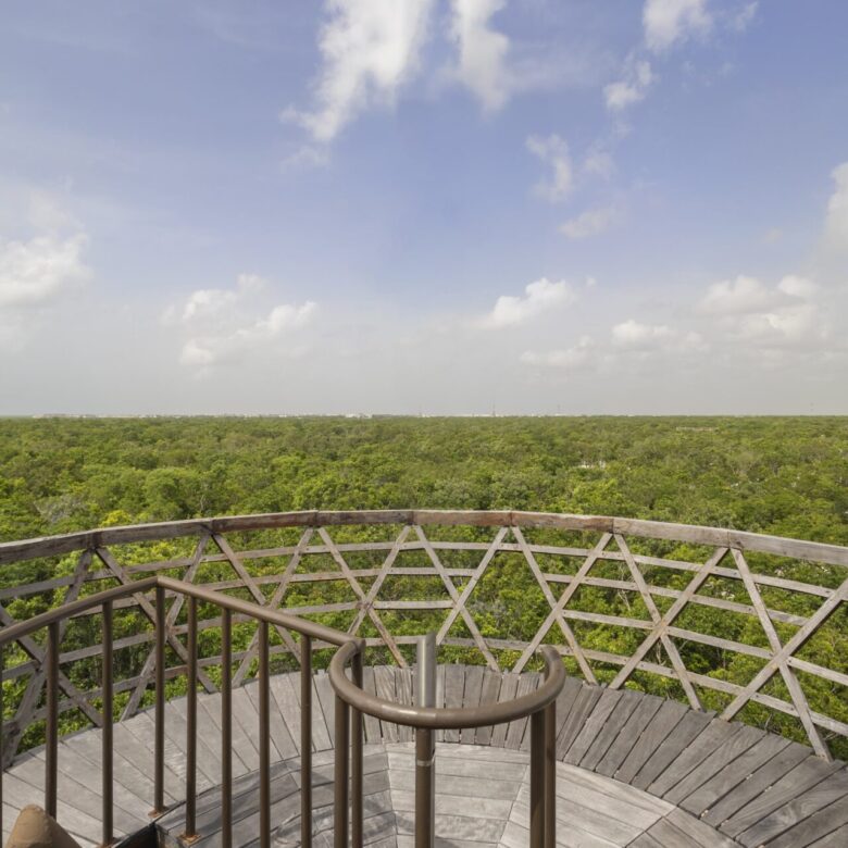 Kaybé Residential Luxury Lots for Sale in Tulum