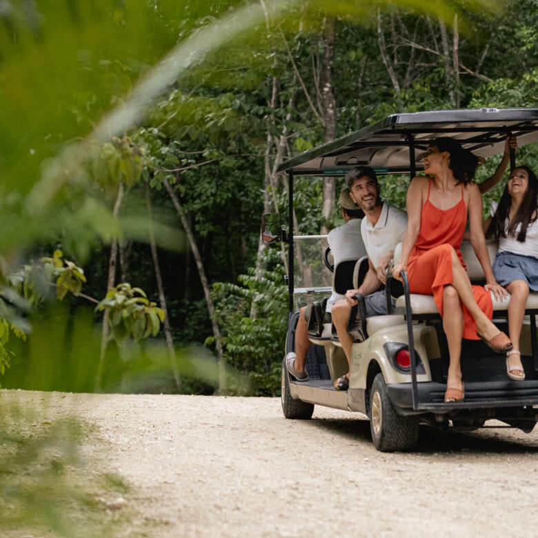 Xul-Ha Eco Habitat | Residential Lots for Sale in Puerto Morelos | Ruta de los Cenotes