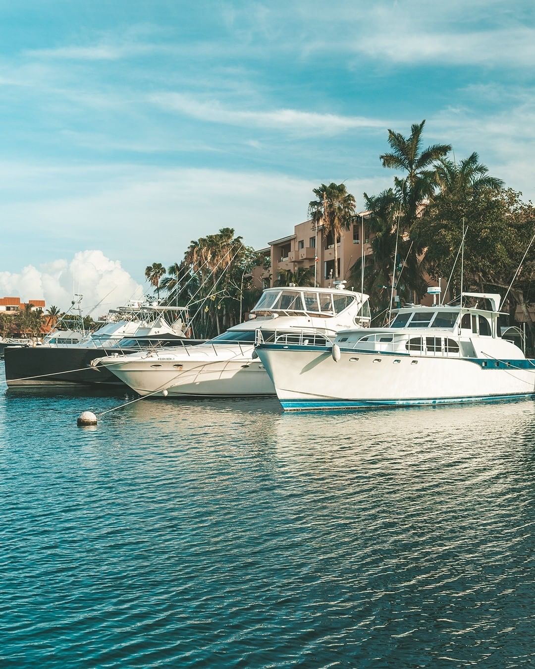 Bloom Puerto Aventuras | Departamentos frente al mar en Venta play investments COMUNIDAD PUERTO AVENTURAS5-min