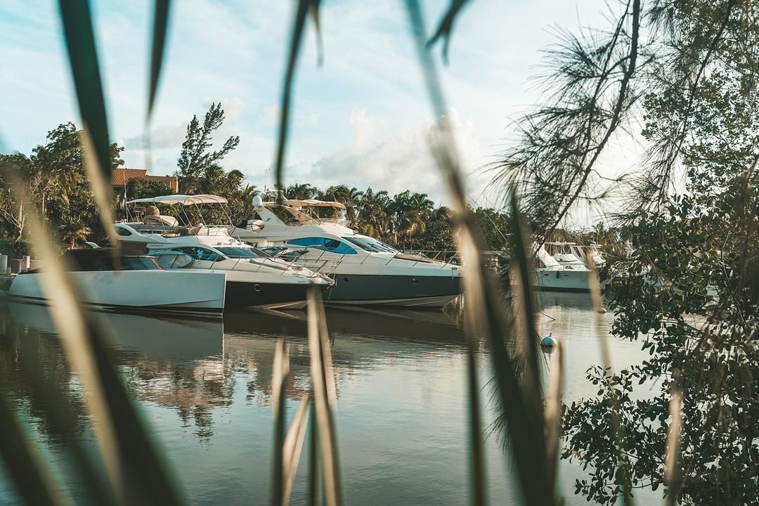 Bloom Puerto Aventuras | Departamentos frente al mar en Venta play investments COMUNIDAD PUERTO AVENTURAS7-min