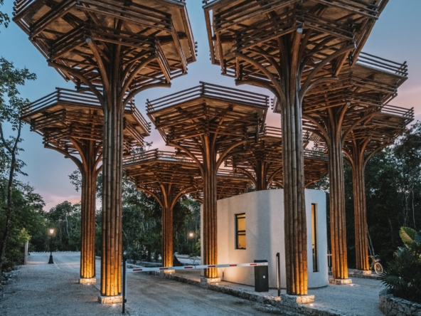 Beecheii Tulum | Lots for Sale in Tulum, How to find affordable properties for sale in Tulum – Play Investments Real Estate Mexico