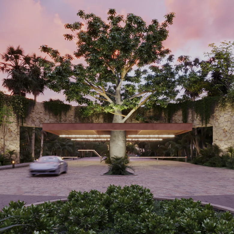 Nativa Playa del Carmen | Lotes Residenciales y Macrolotes en Comunidad Privada